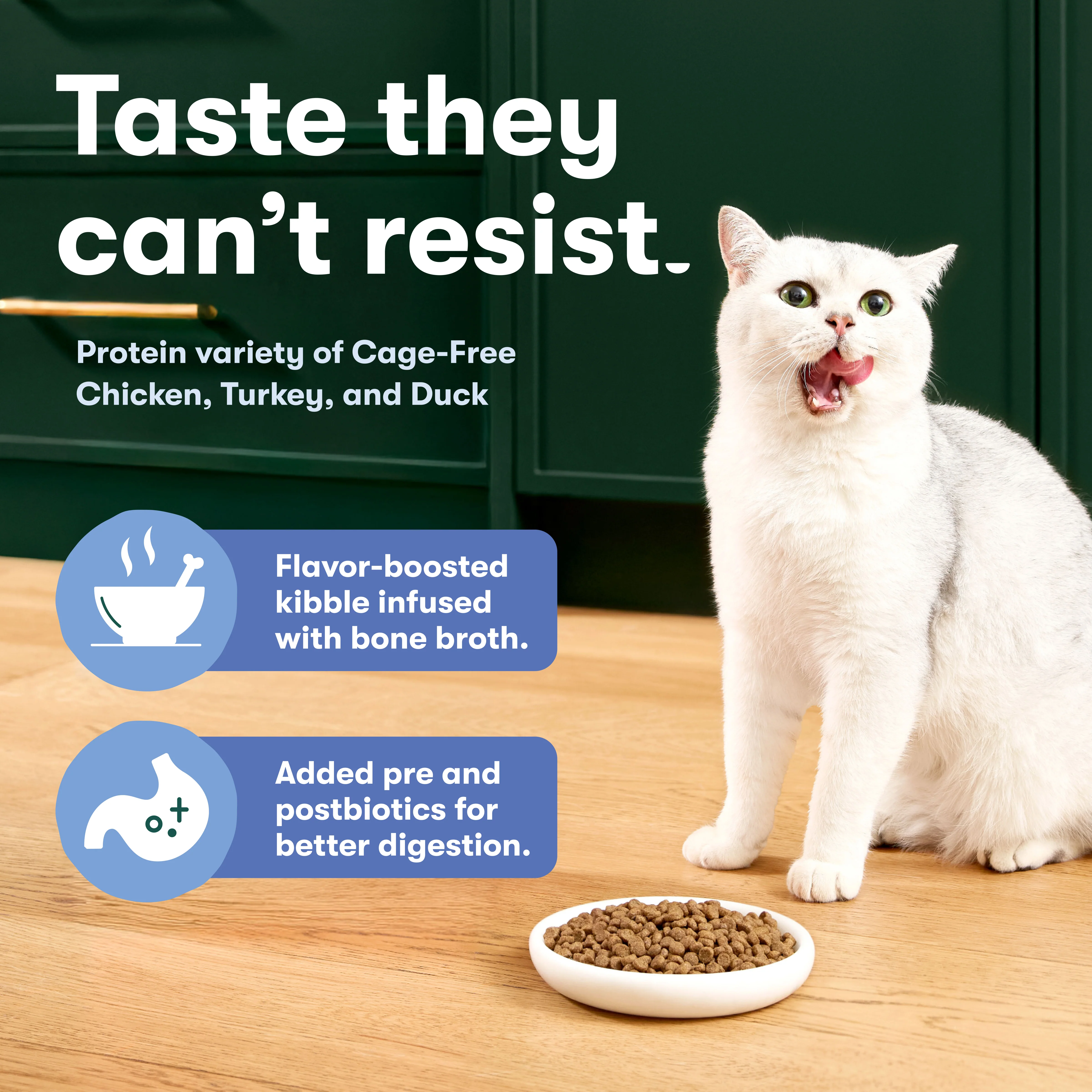 Cage-Free Chicken, Turkey, & Duck Dry Cat Food - Image 3