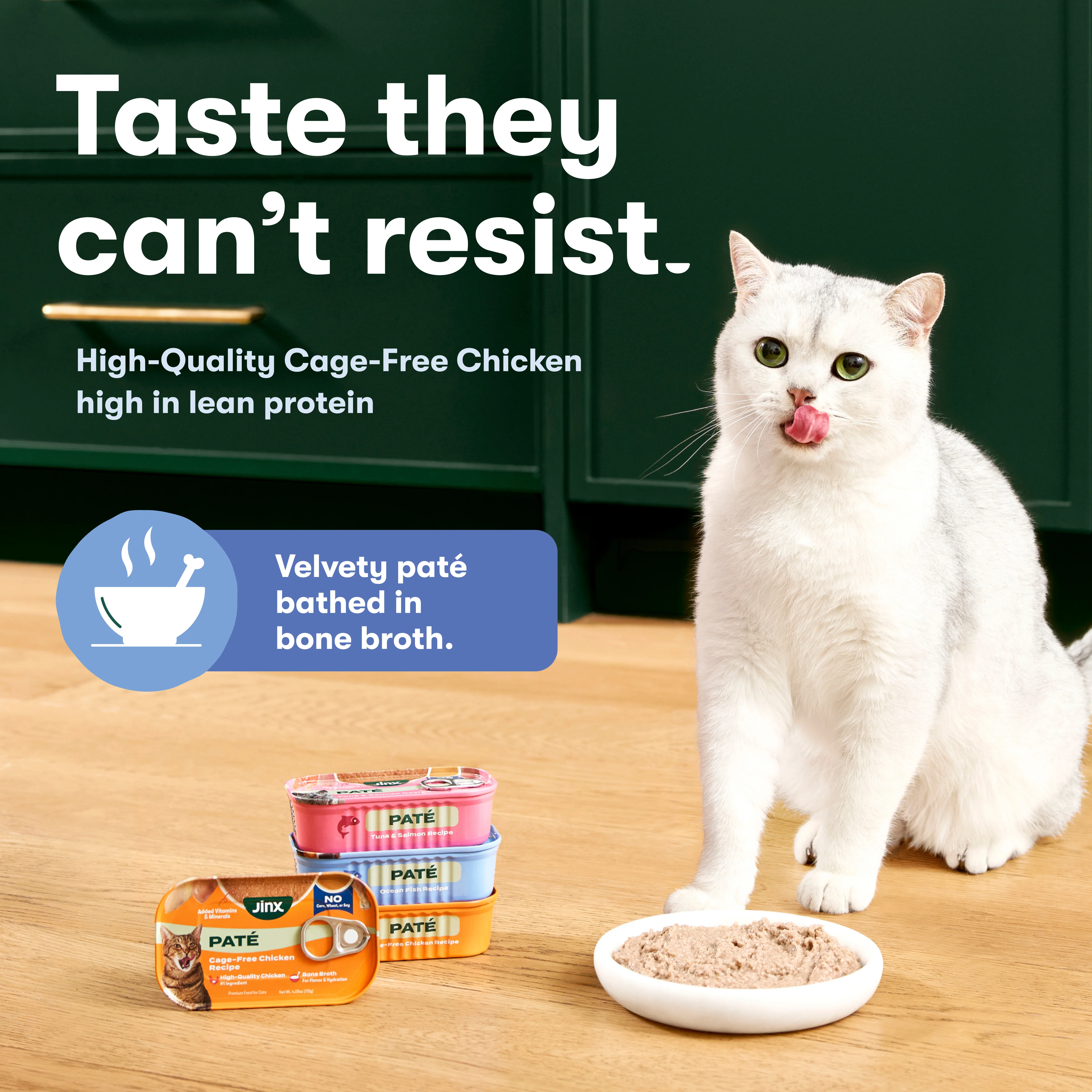 Cage-Free Chicken Cat Paté - Image 3