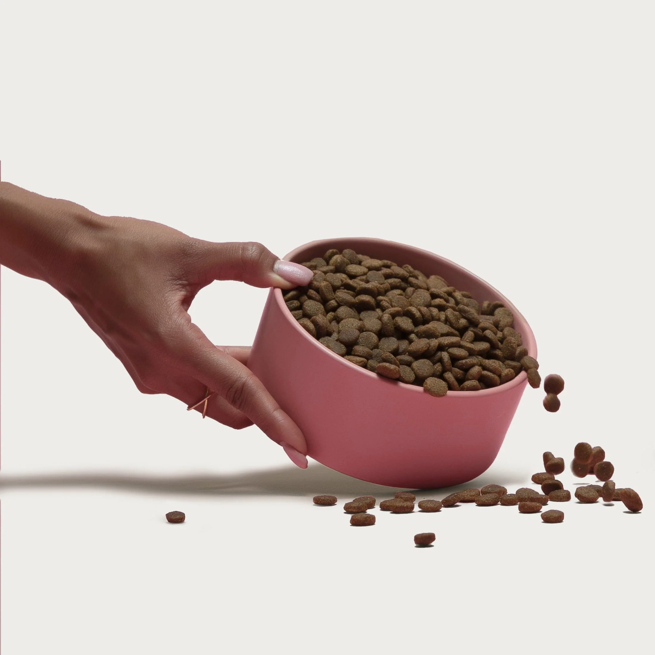 Grain-Friendly Dog Food Sampler - Image 4