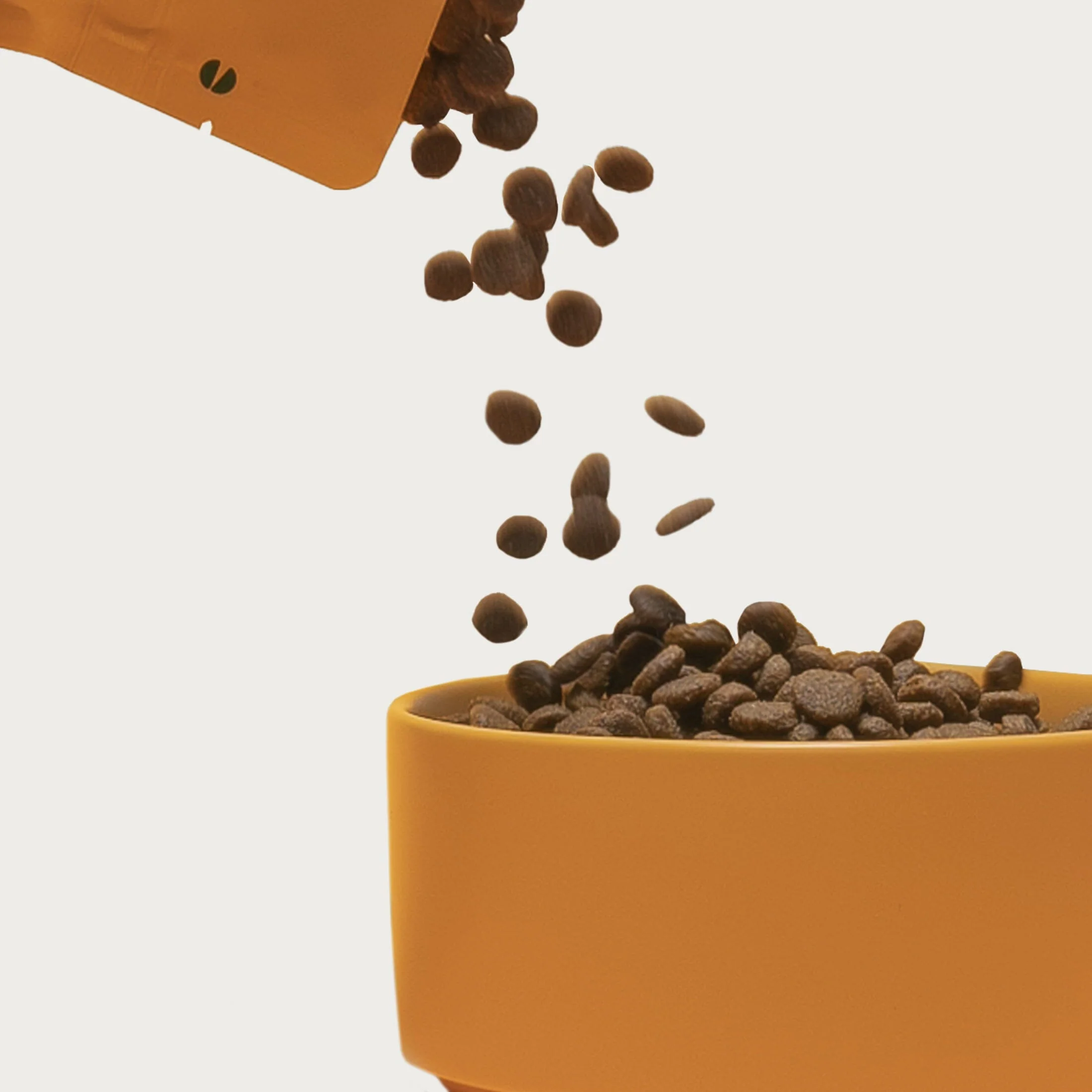 Grain-Friendly Dog Food Sampler - Image 6